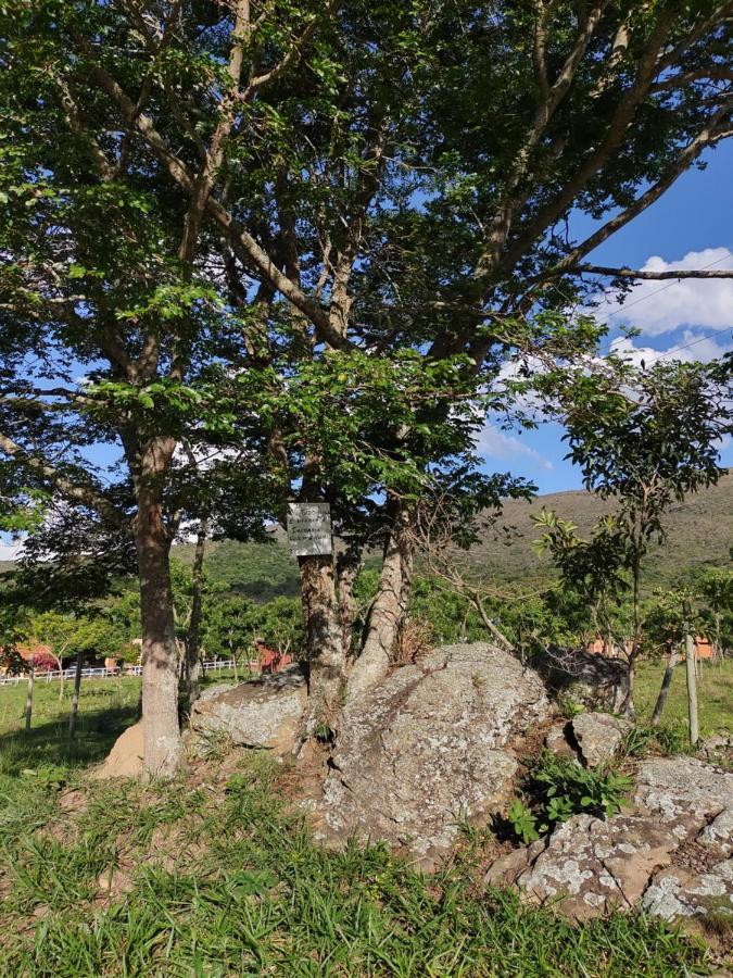 Recanto Jf Da Serra São Tomé das Letras Dış mekan fotoğraf